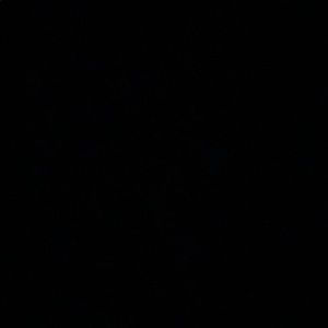 Meet your Posher, Cody